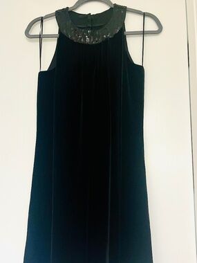 Elegant Velvet Dress with Sequin Collar